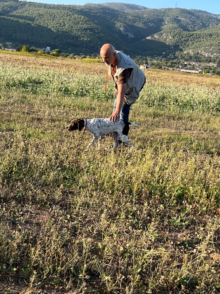 Tayga du Mas de Magdalena