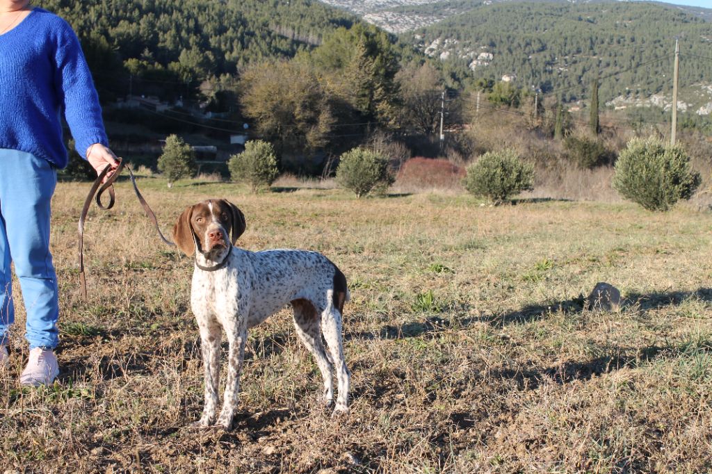 Tayga du Mas de Magdalena