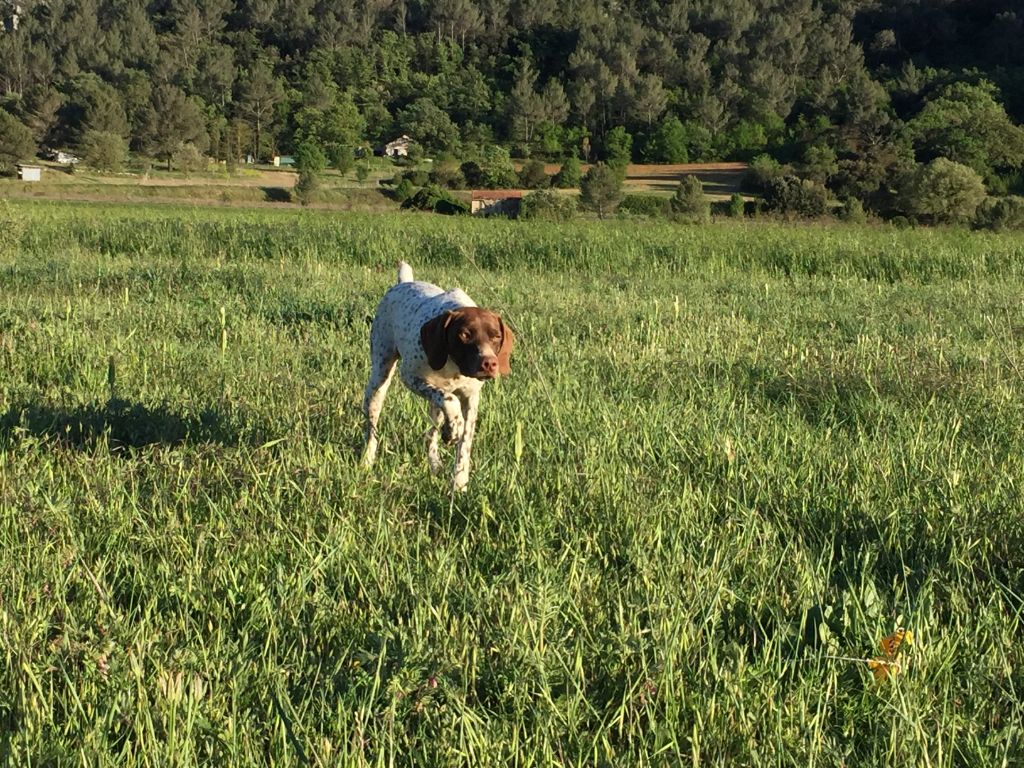 Orka du Mas de Magdalena