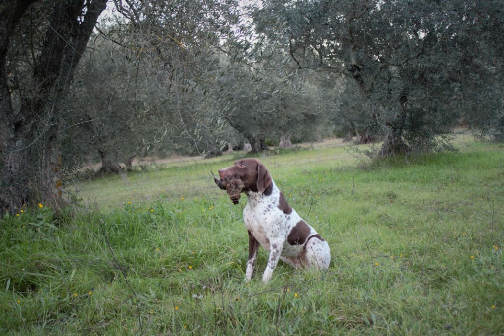 Leeven du Mas de Magdalena